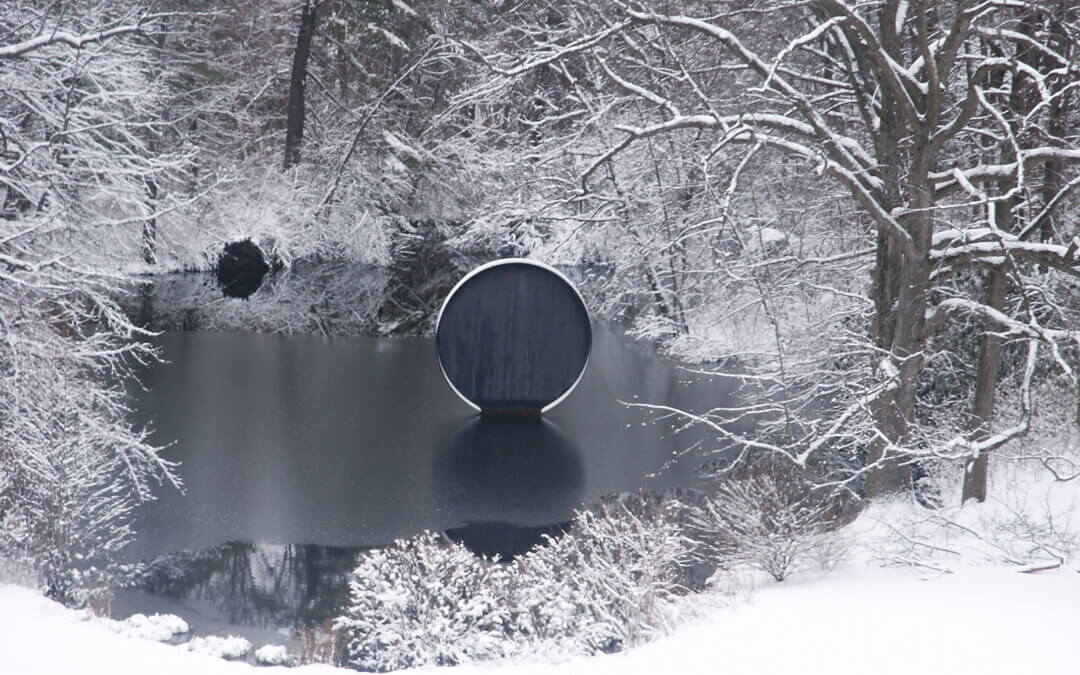 Winter Forest Walk with Naturalist Virginia Dankel | Saturday, February 7, 11am – 12:30pm