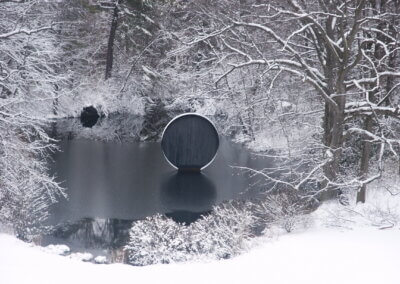 Winter Forest Walk with Naturalist Virginia Dankel | Saturday, February 7, 11am – 12:30pm