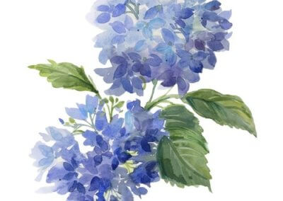 Watercolor Florals: Summer Blooms | Wednesdays, 9:30am