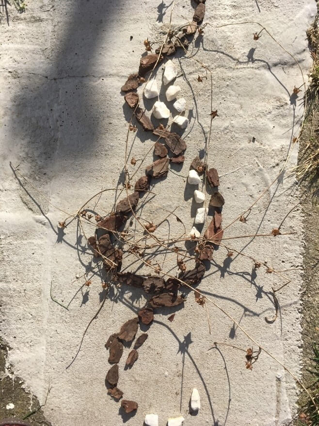Outdoor Adventures: Land Art Activity
