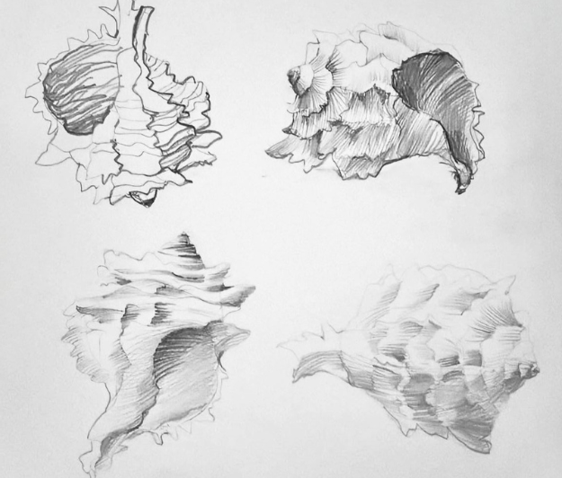 Pencil and Ink Drawing