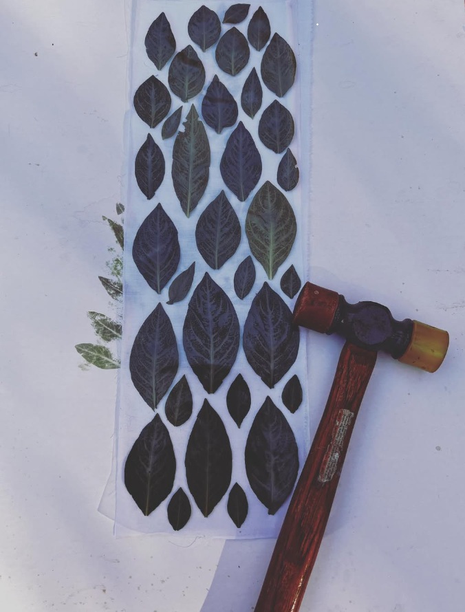 Fresh Leaf Indigo Dye Workshop – Sold Out!